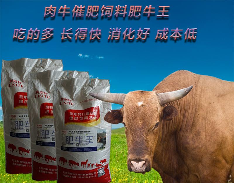 2．肉牛預混料供應商：什么是肉牛預混料？品牌好