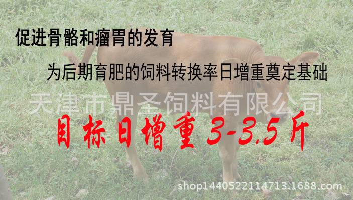 2、育肥牛每天需要多少飼料/肉牛每天吃多少飼料